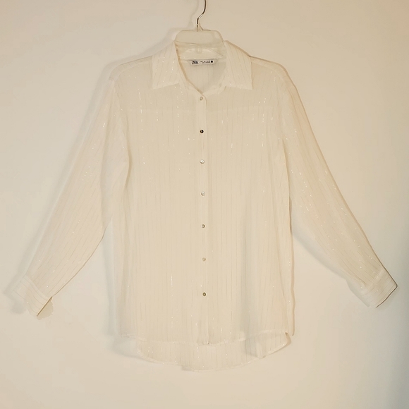Zara Sheer Button Blouse - Picture 1 of 11